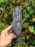 Pyrite on Shungite Display Specimen