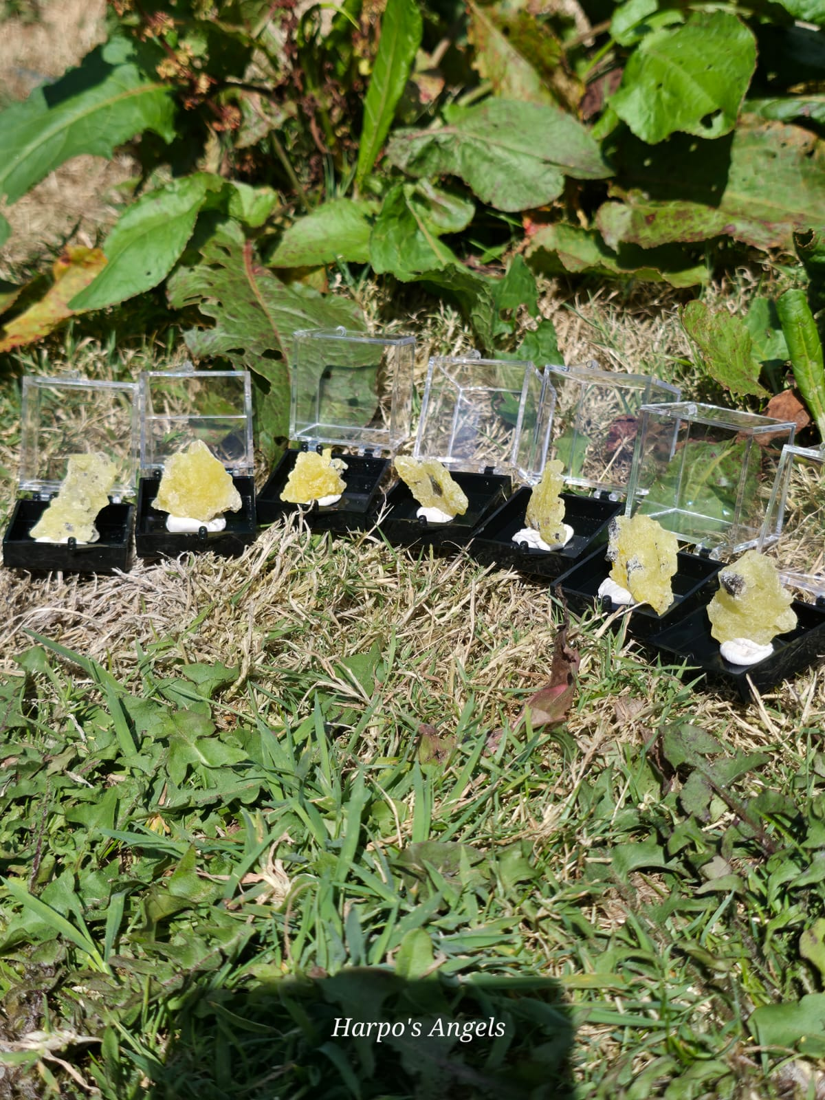 Brucite Raw Mineral Specimens - (Ex Collection)