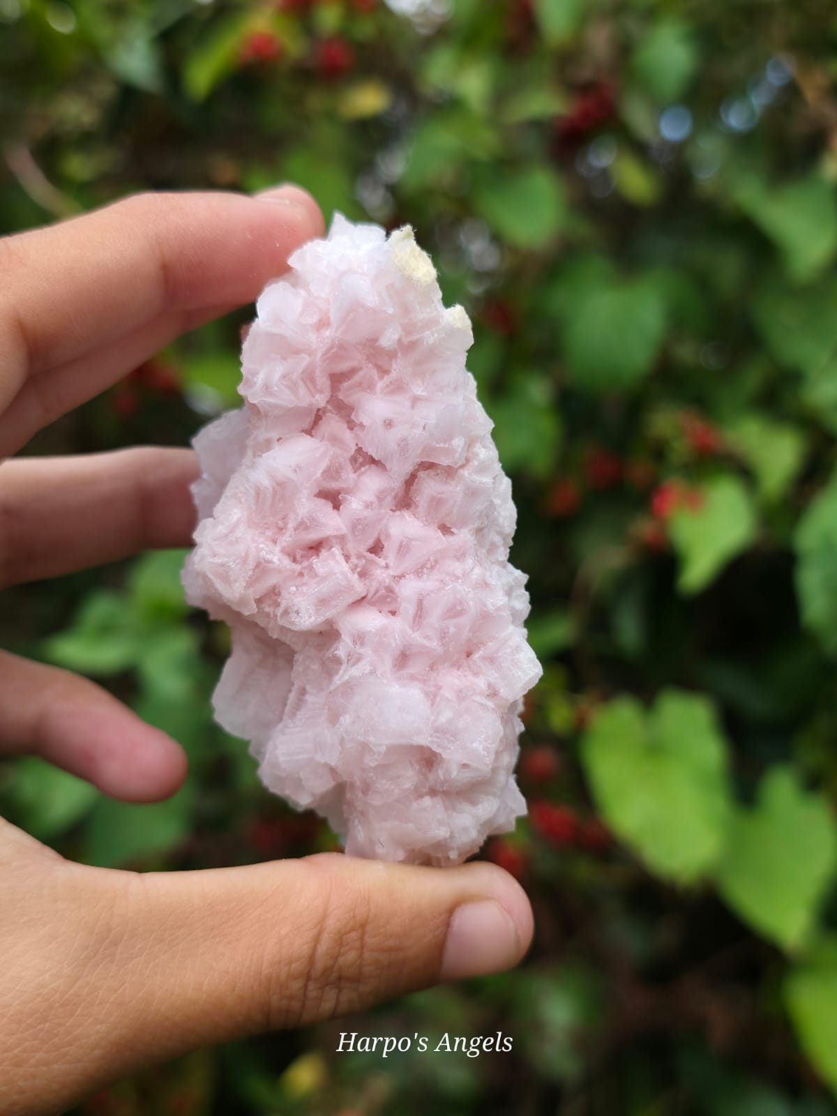 Large Pink Halite Crystal Cluster