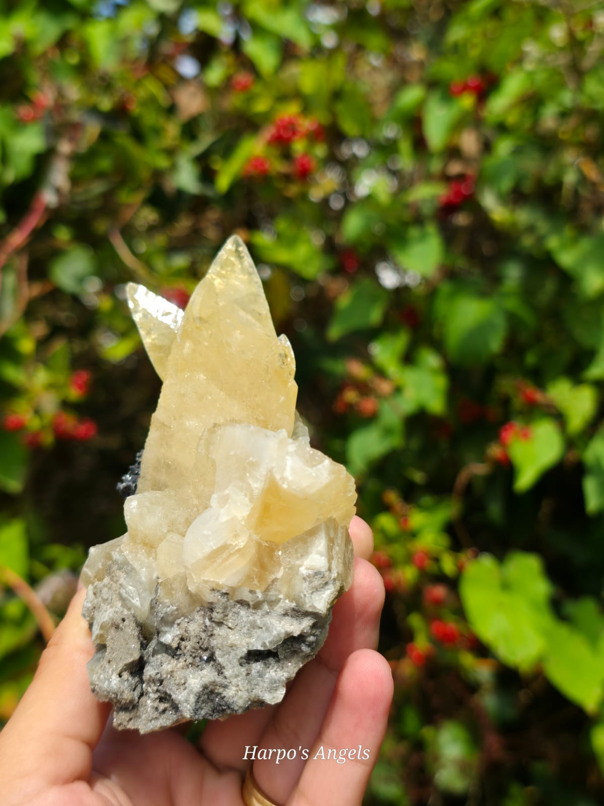Dragon Scale Calcite Cluster