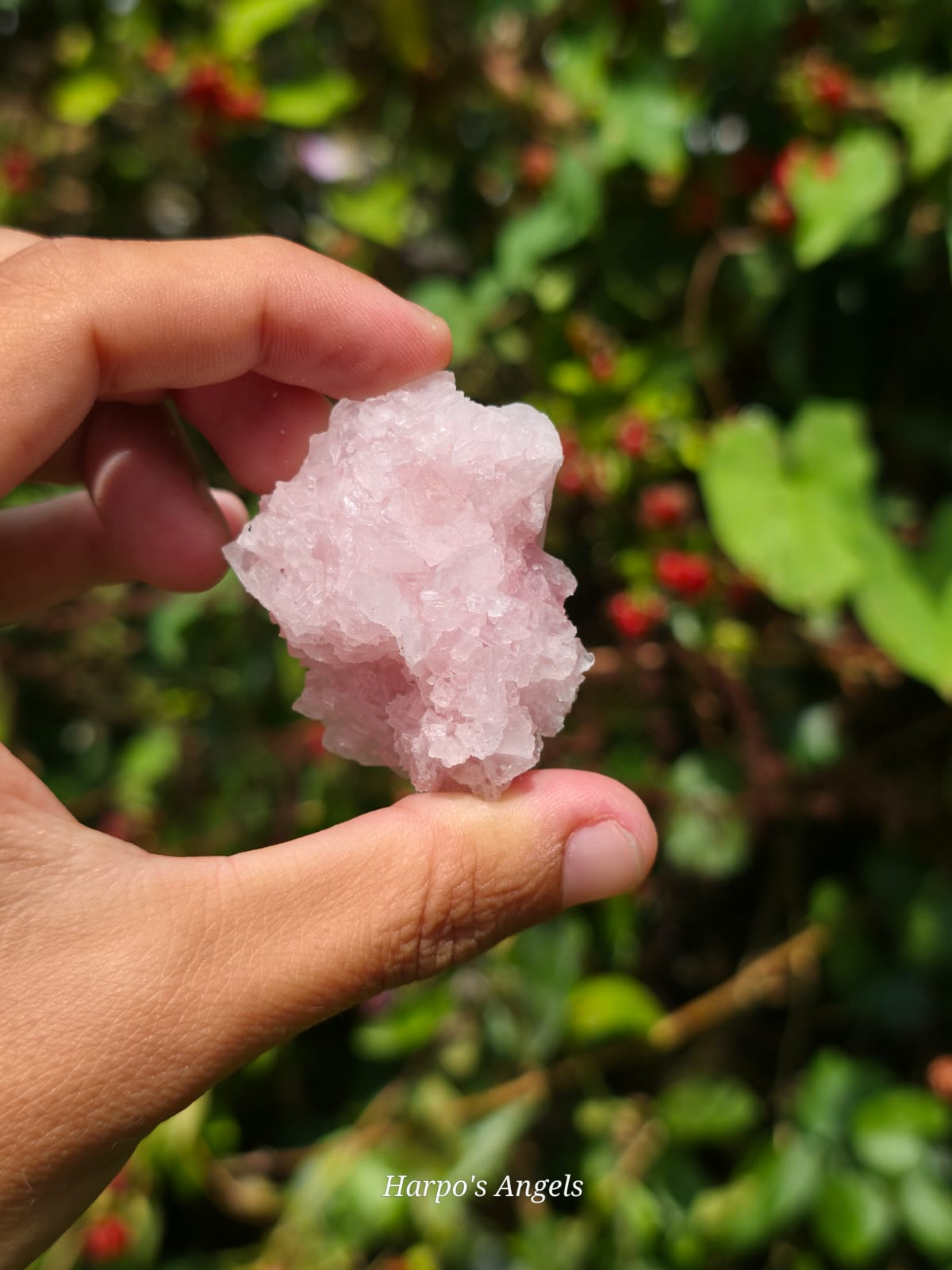 Pink Halite Crystal Cluster #1