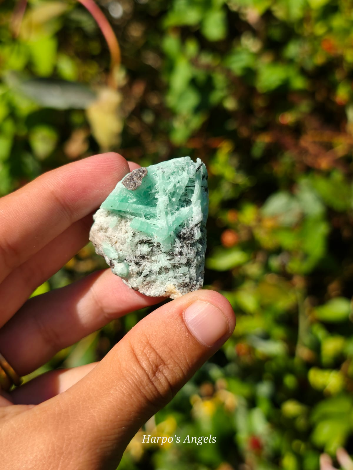 Emerald Specimen (Namibia) #1