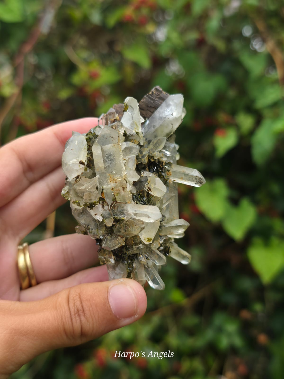 Epidote & Quartz Crystal Cluster - Interrupted Growth Quartz