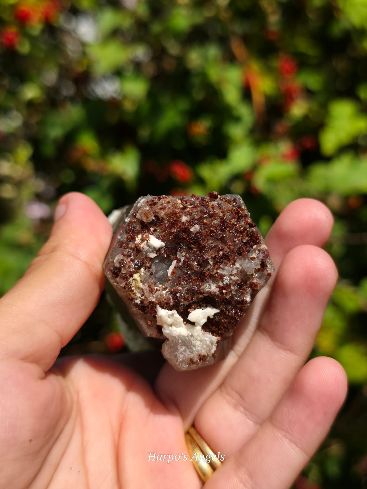 Smoky Quartz with Garnet & Hyalite Opal