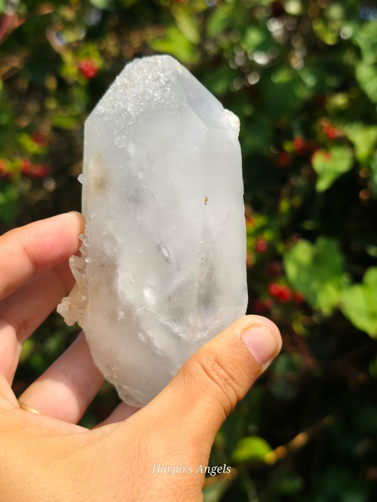 Dendritic Golden Healer Quartz Point