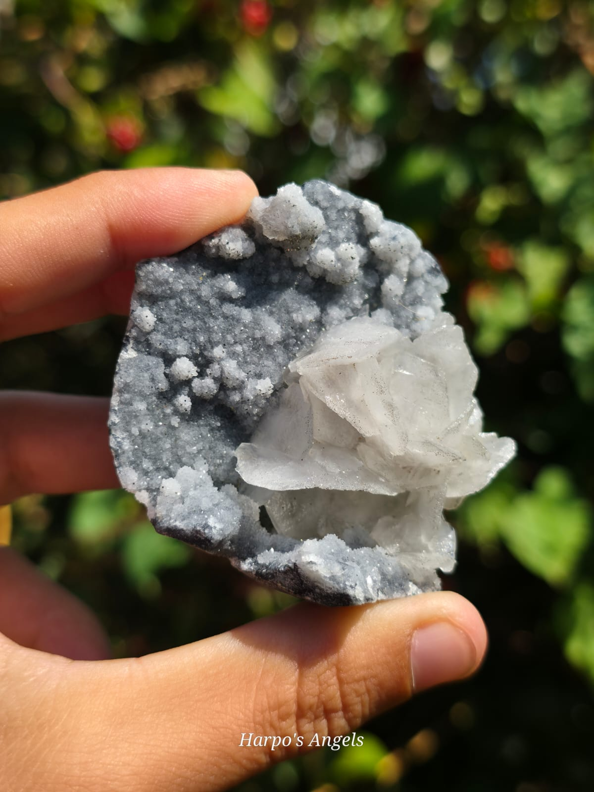 Petal Calcite on Chalcedony Specimen