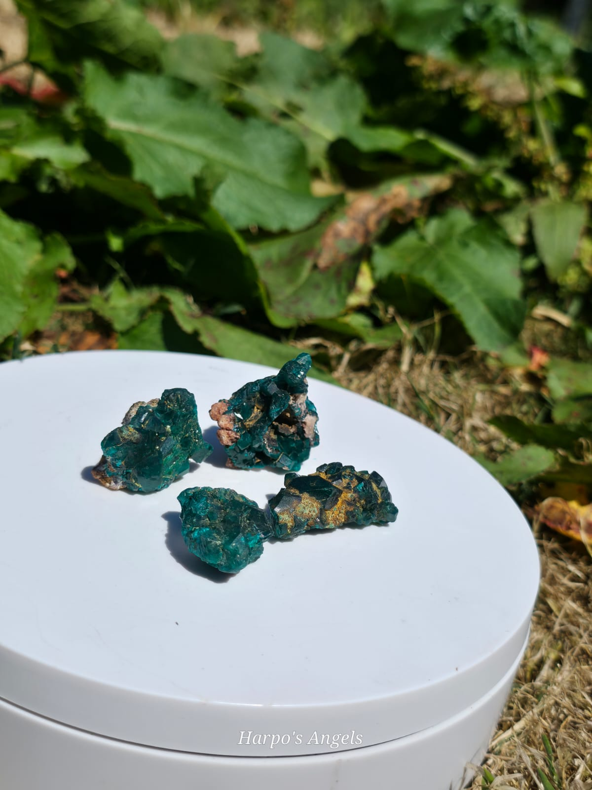 Dioptase Crystal Clusters - Congo