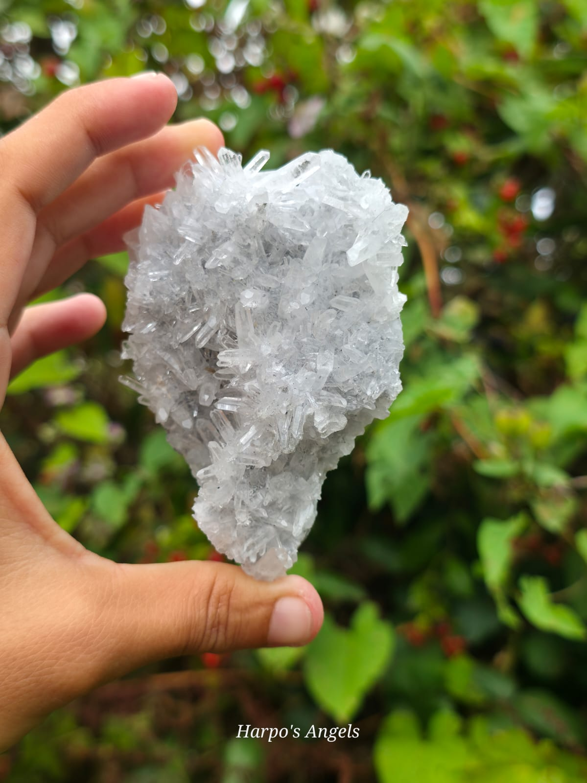 Needle Quartz Yunnan, China