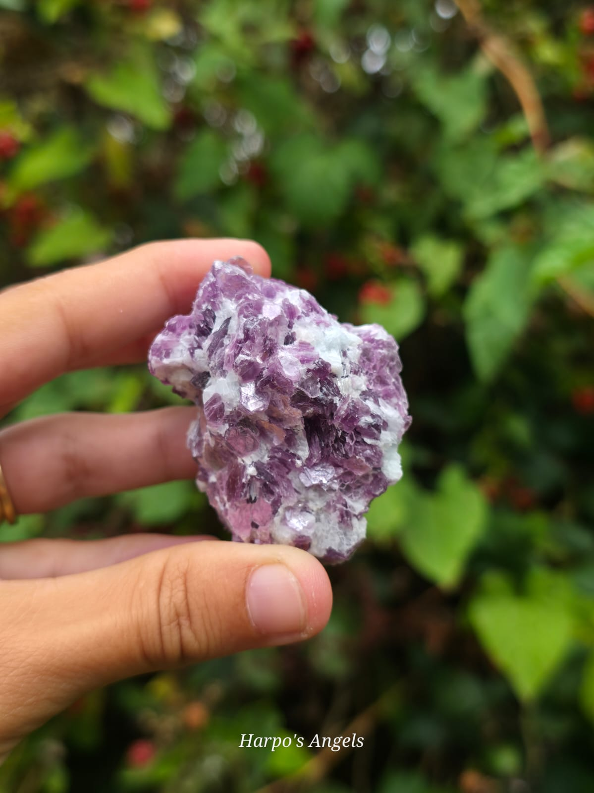 Purple Mica Specimen (Lepidolite)