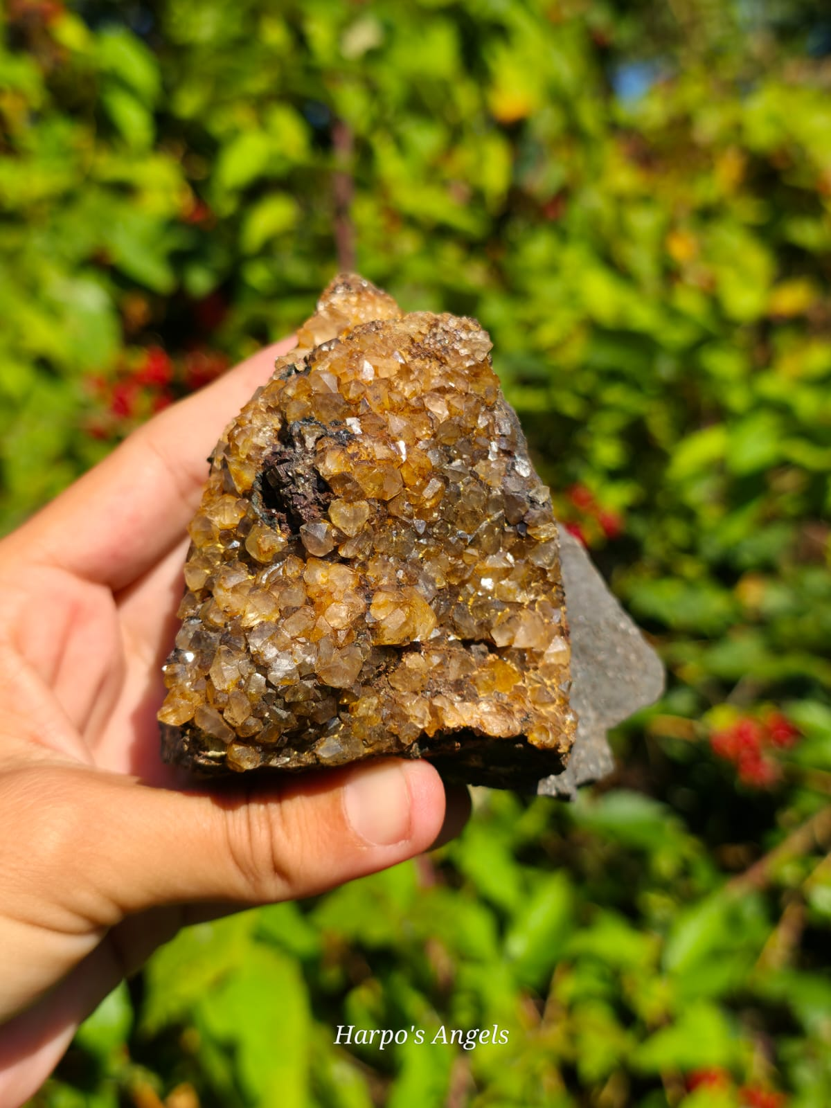 Tangerine Quartz - Honey Pot Pocket - UK Mineral