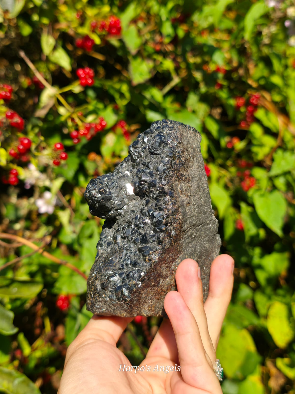 Sphalerite var. Marmatite - UK Mineral