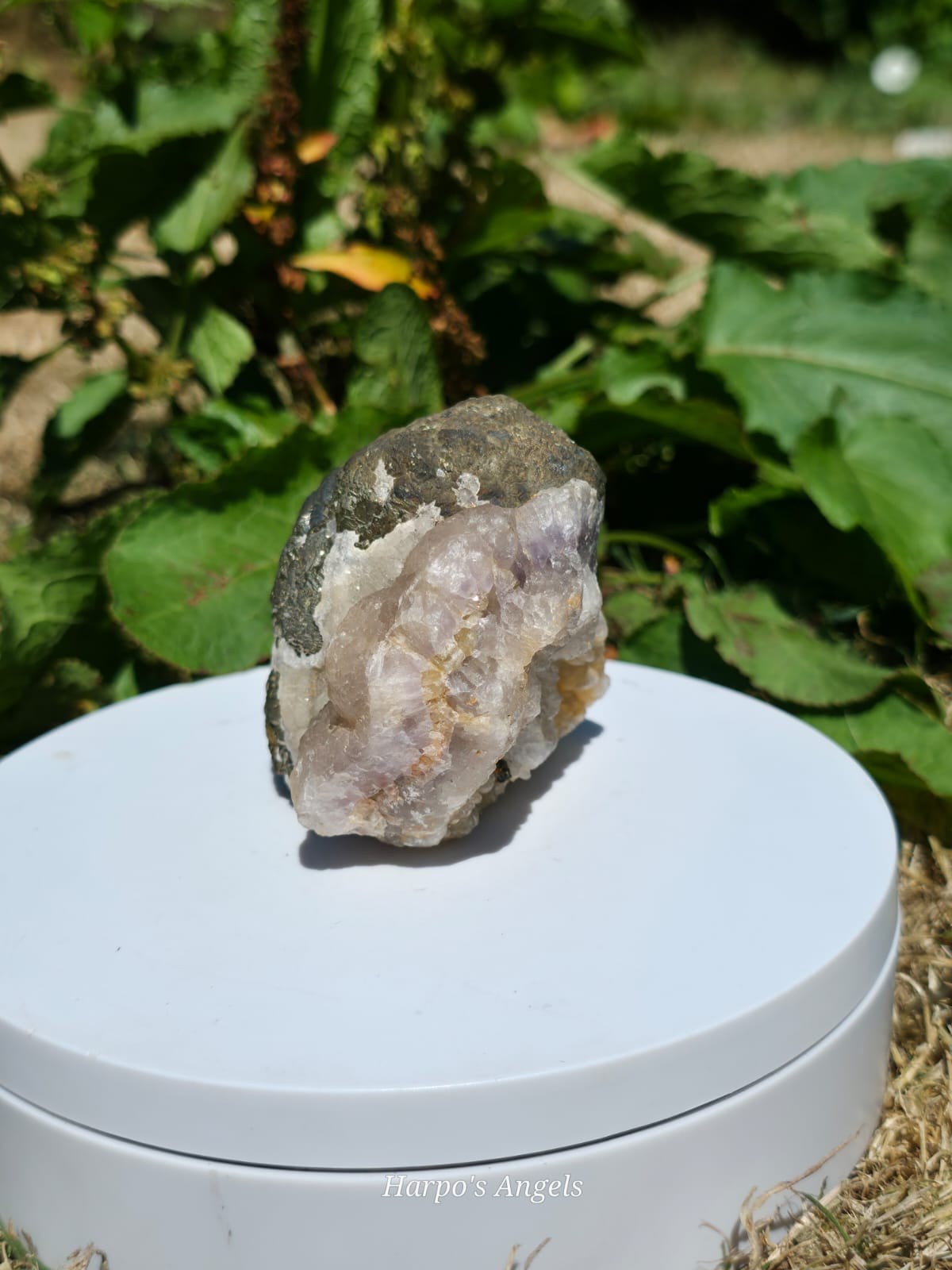 Pyrite with Apophyllite Crystal Specimen