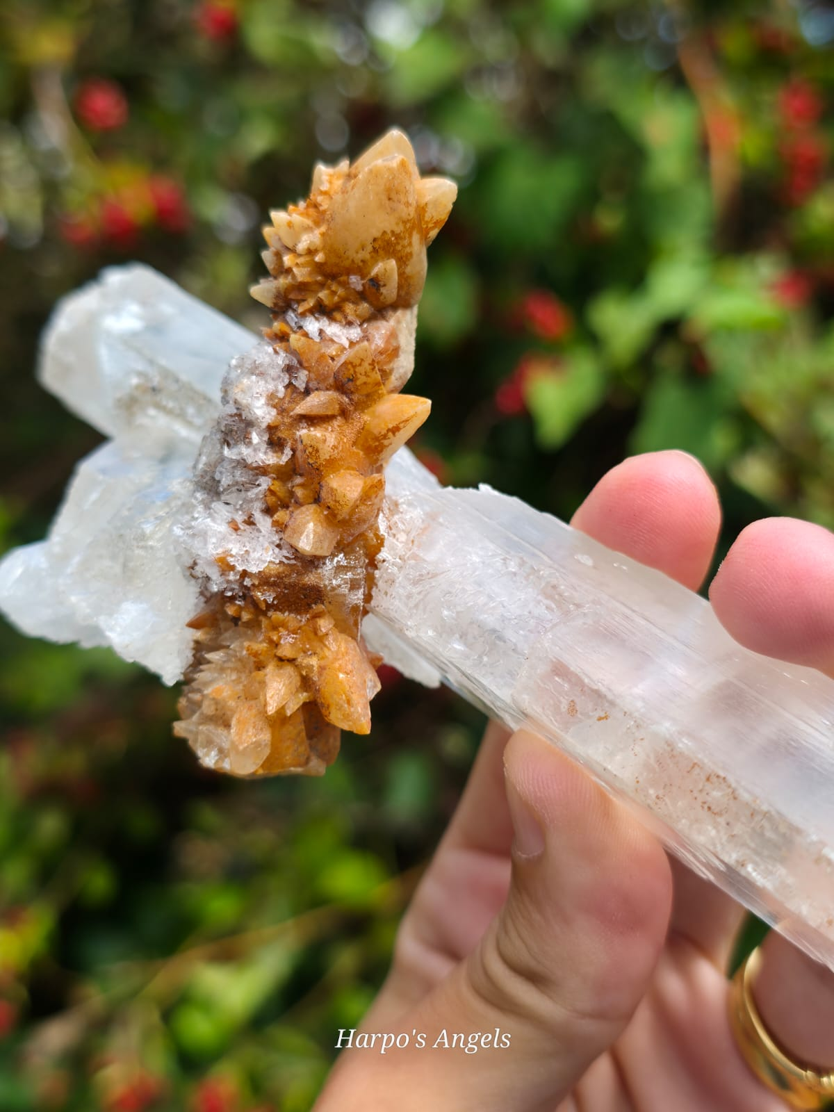 Calcite on Clear Selenite - Yunnan