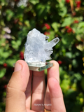 Madagascan Celestite Crystal Cluster #2