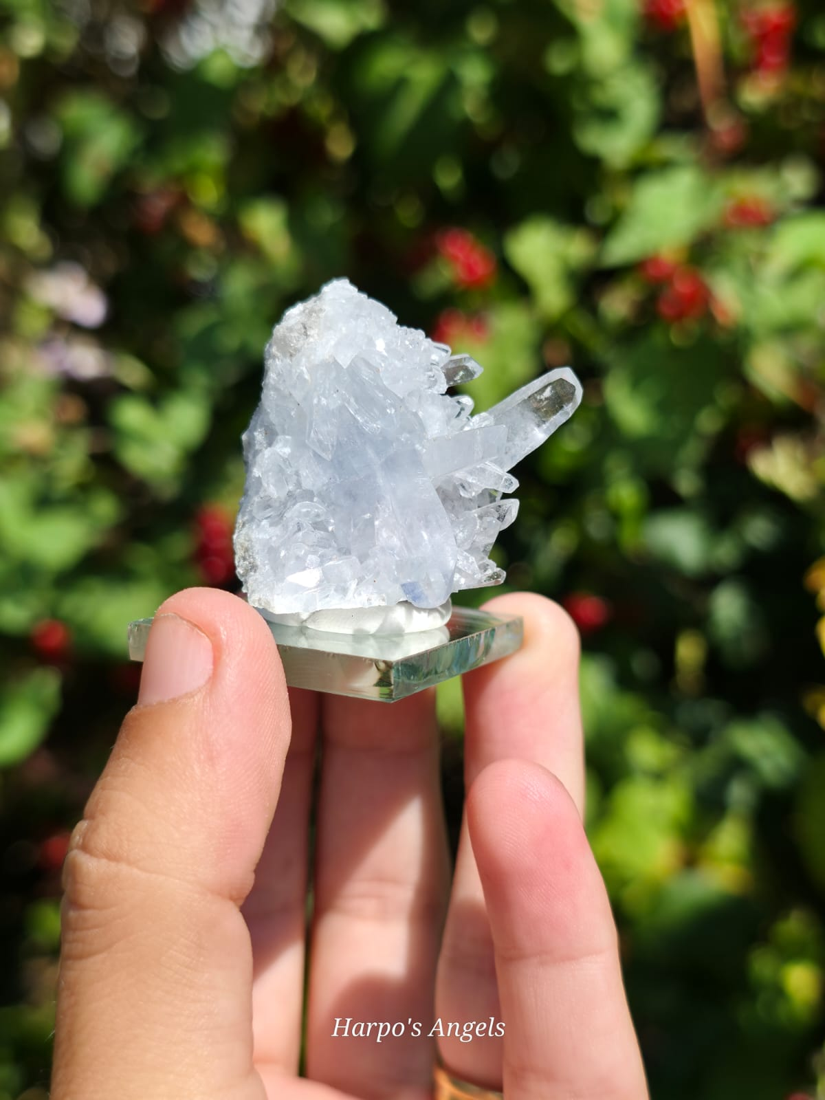 Madagascan Celestite Crystal Cluster #2