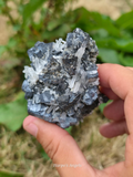 Shungite with Quartz Cluster Bulgaria