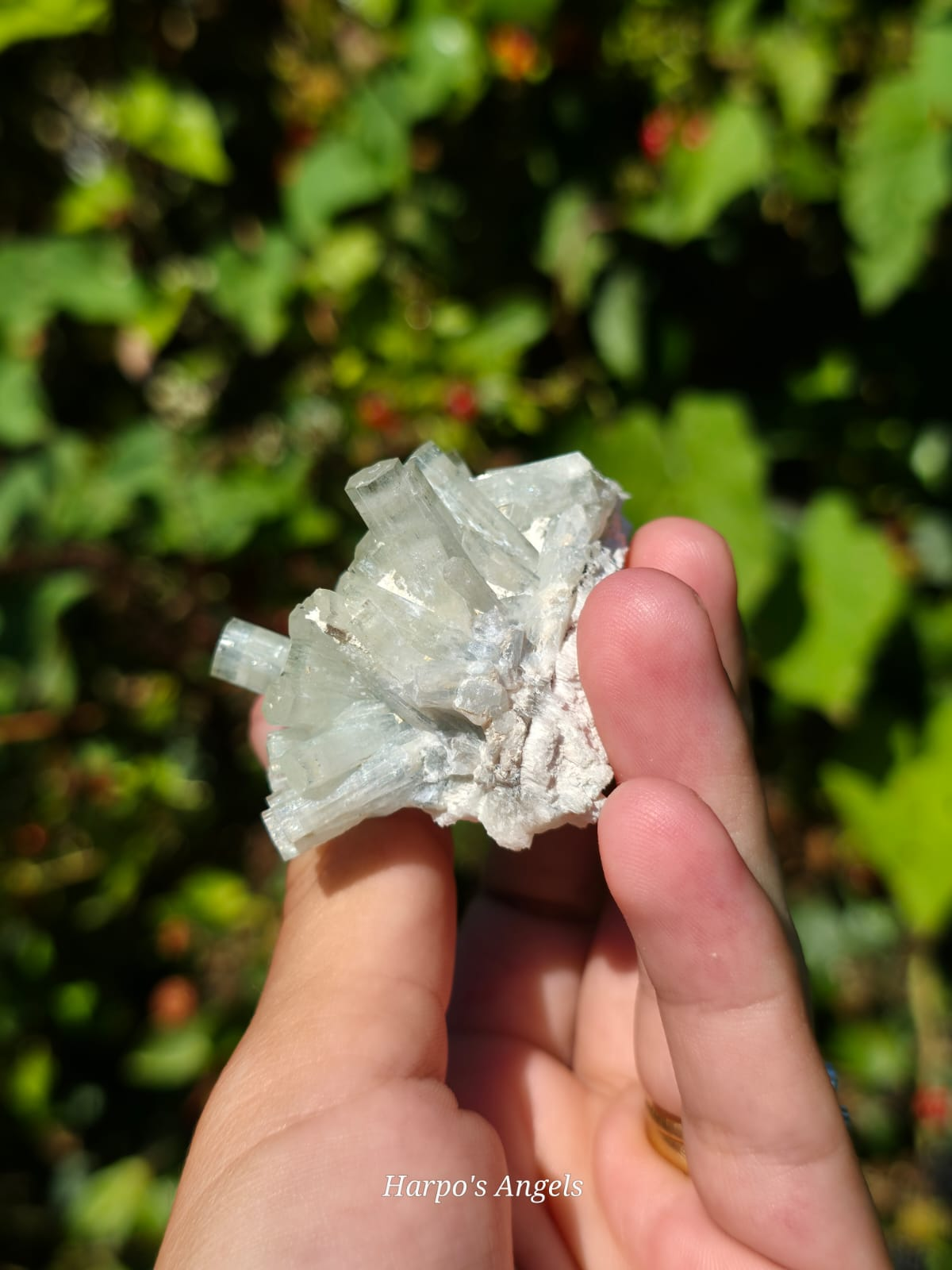 Aquamarine Clusters  #1