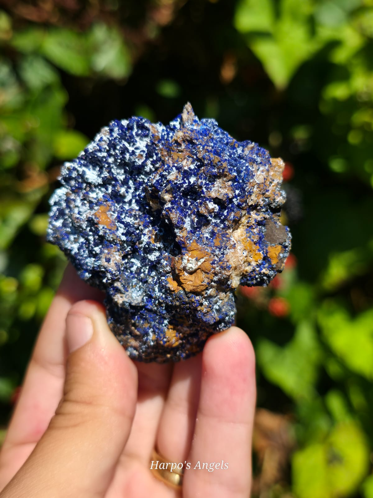 Azurite & Calcite Crystal Specimens (Utah)