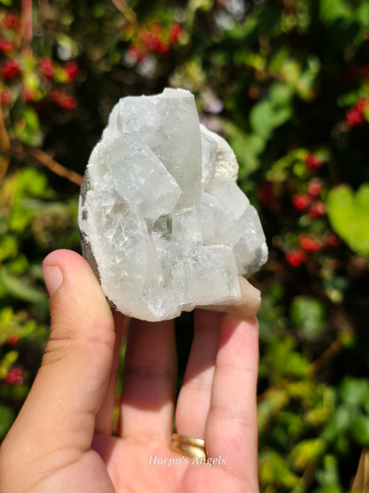 Apophyllite with Stilbite from India