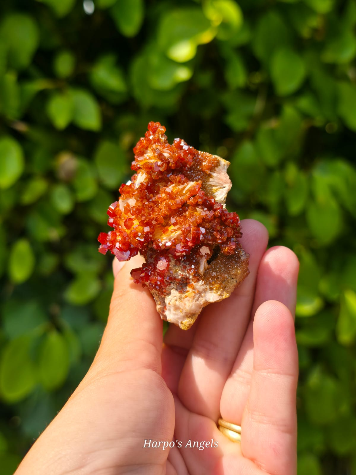 Vanadinite Crystal Cluster