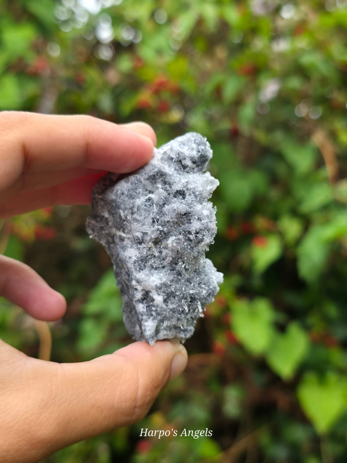 Needle Quartz - Ex Collection