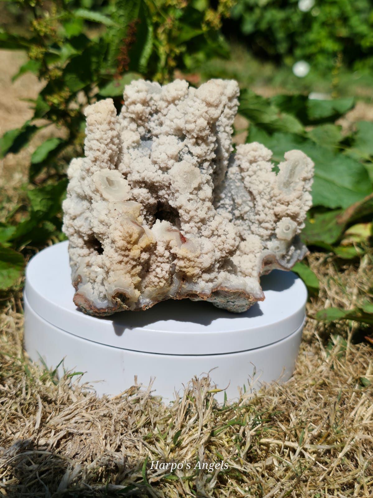 Botryoidal Aragonite Display Specimen (ex collection)
