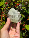 Green Apophyllite Crystal Cluster from India