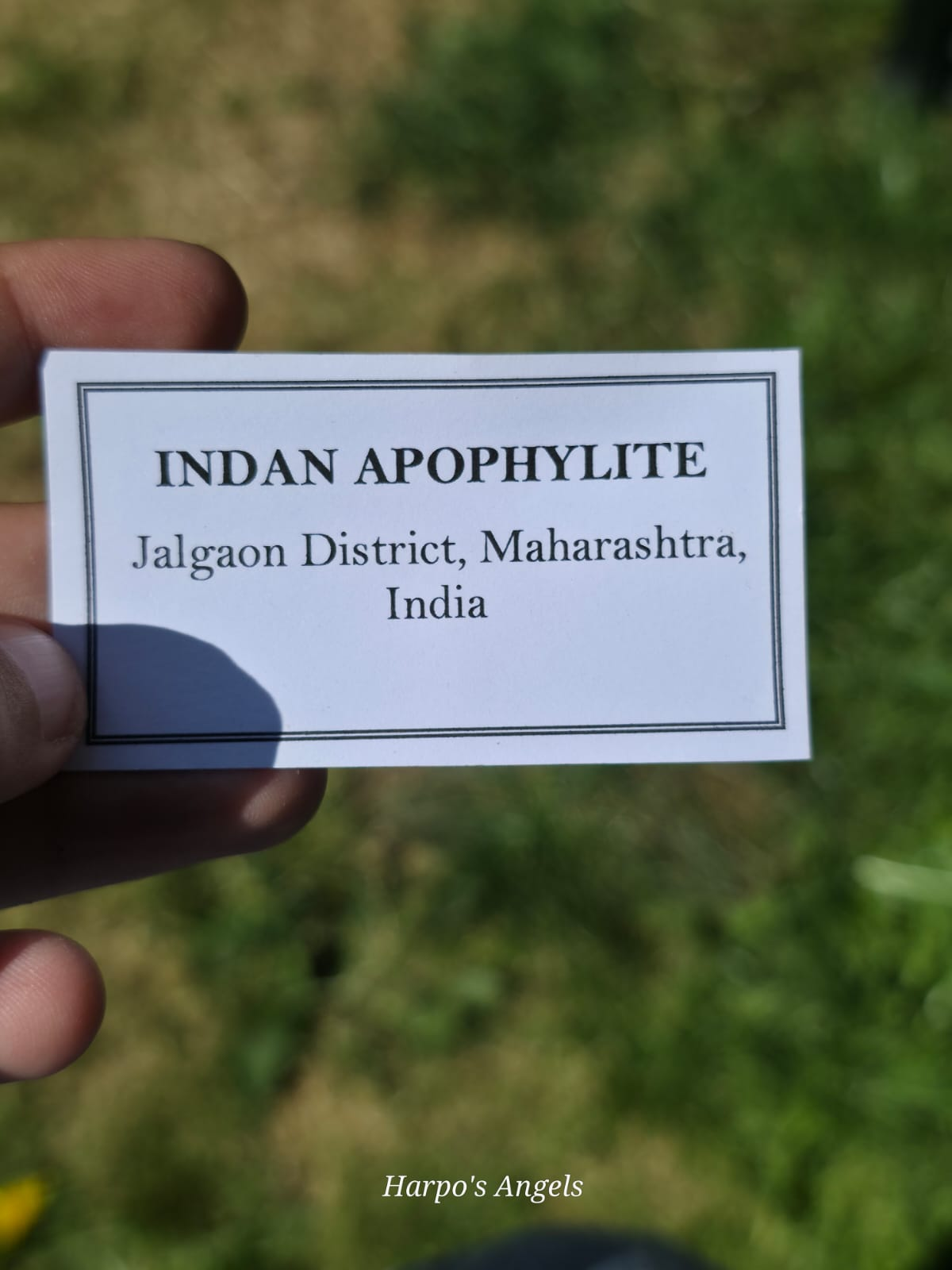 Indian Apophyllite Cluster