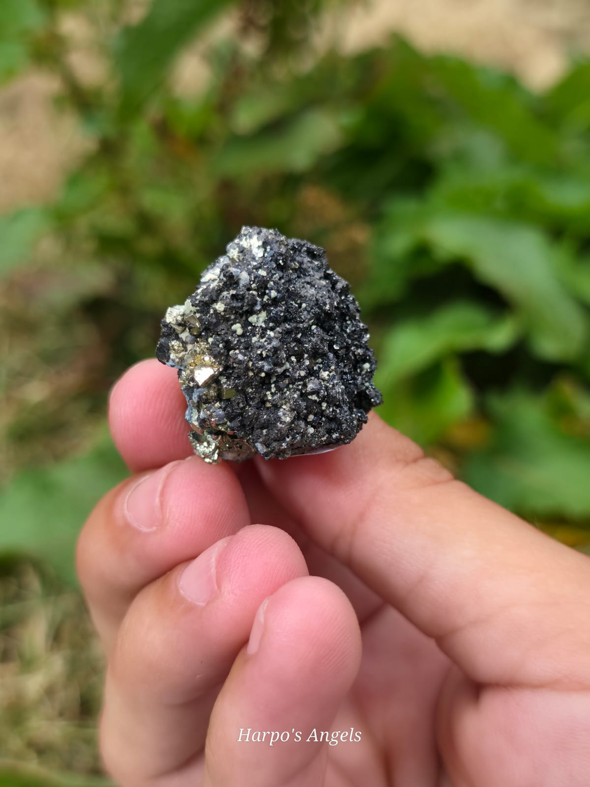 Pyrite Specularite Specimen Bulgaria