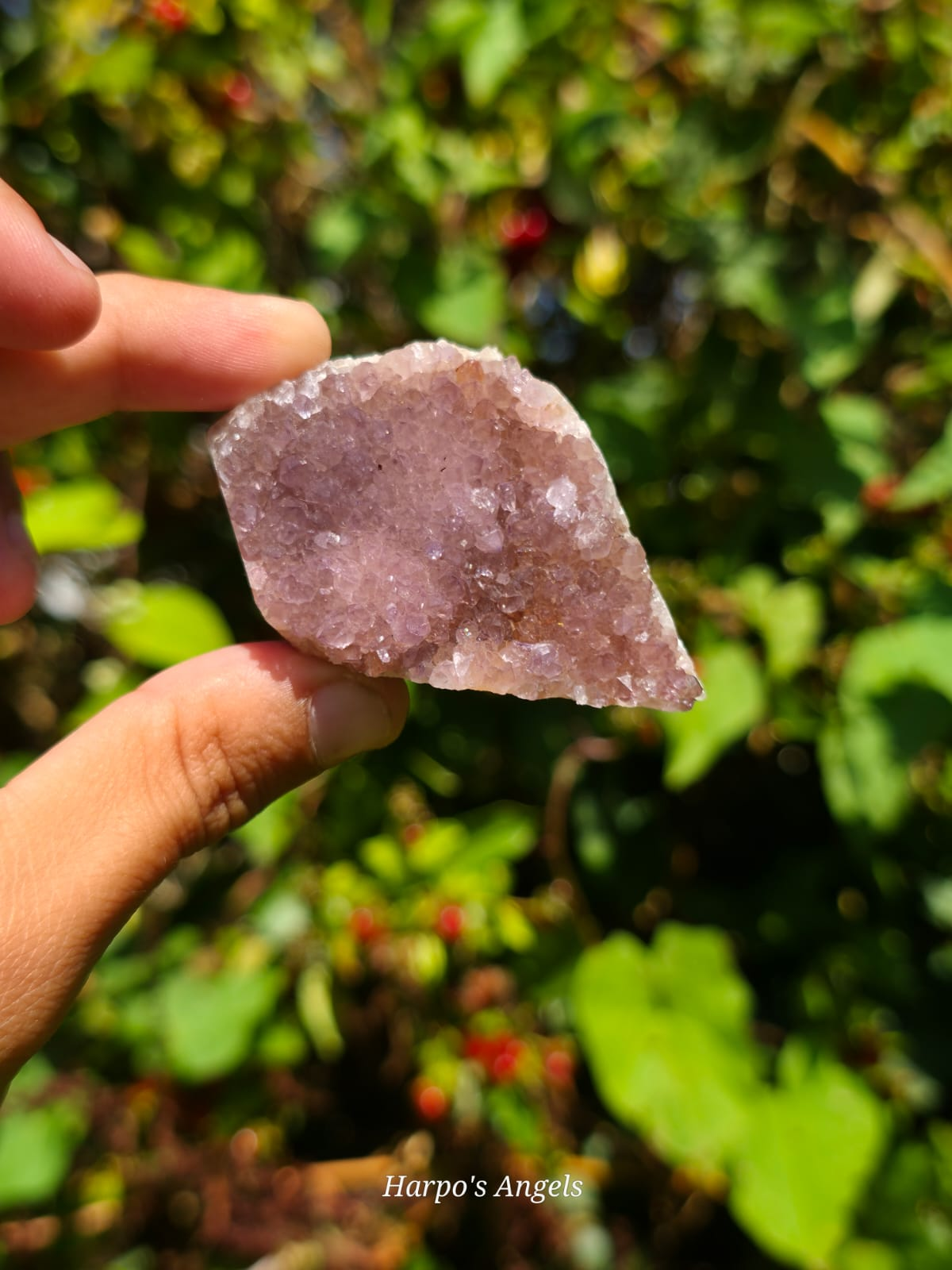 Alacam Amethyst Druzy Specimens