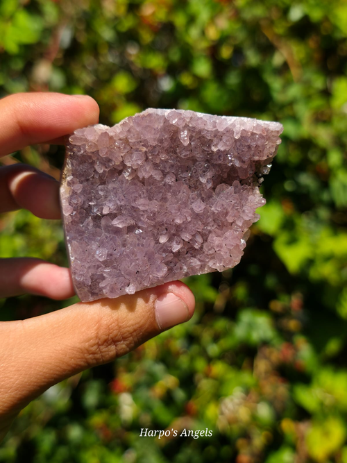 Alacam Amethyst Druzy Specimens
