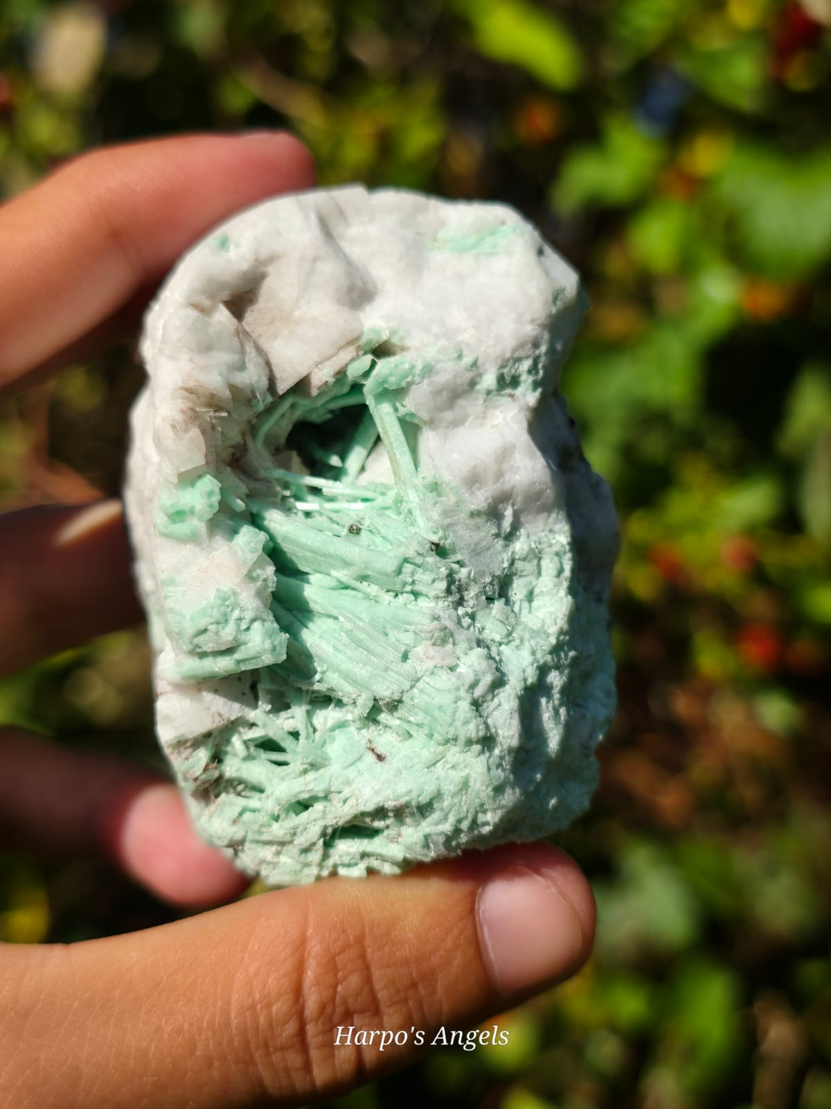 Emerald Specimen (Namibia) #3