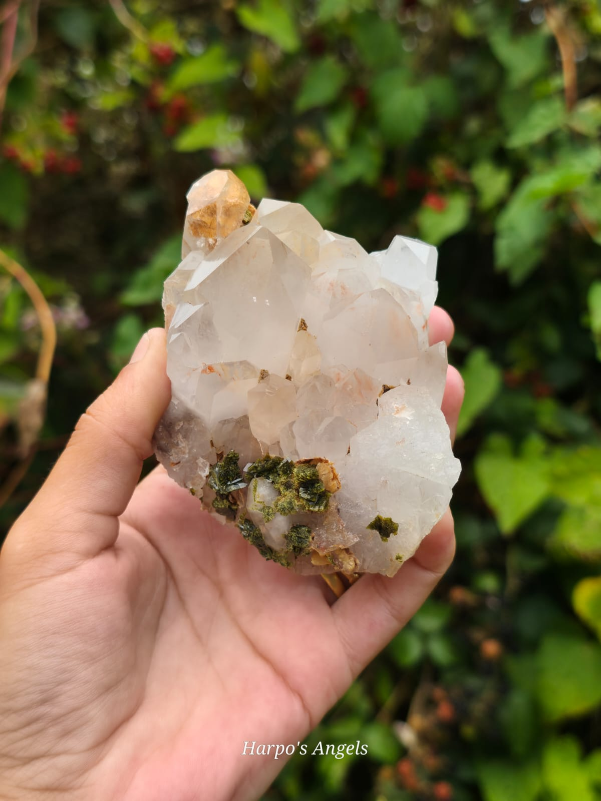 Epidote on Quartz Crystal Cluster (Forest Quartz)