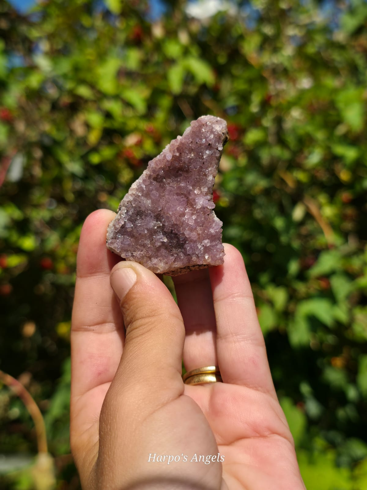 Alacam Amethyst Druzy Specimens