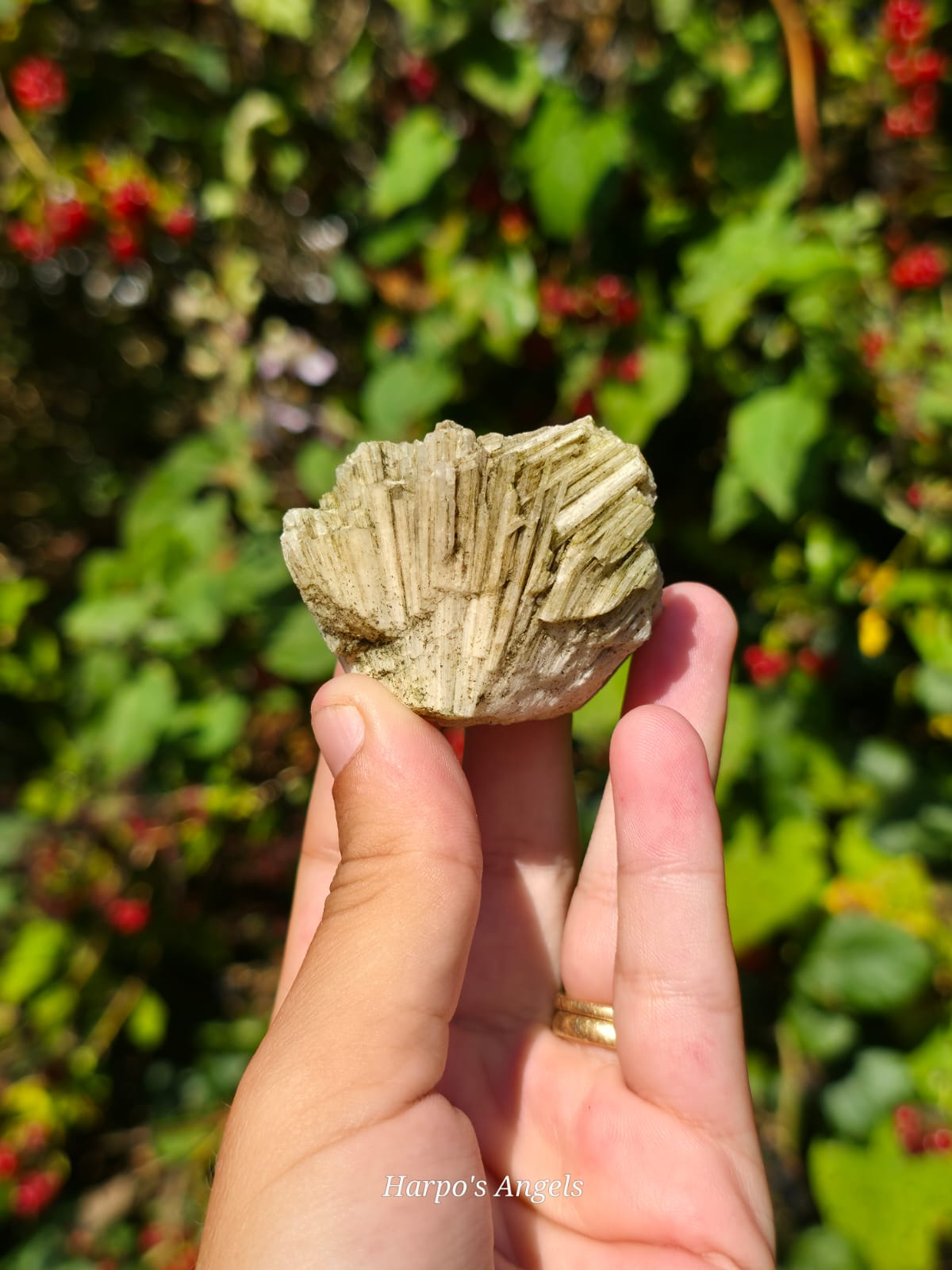 Scolecite from India #2 - (Ex Collection)