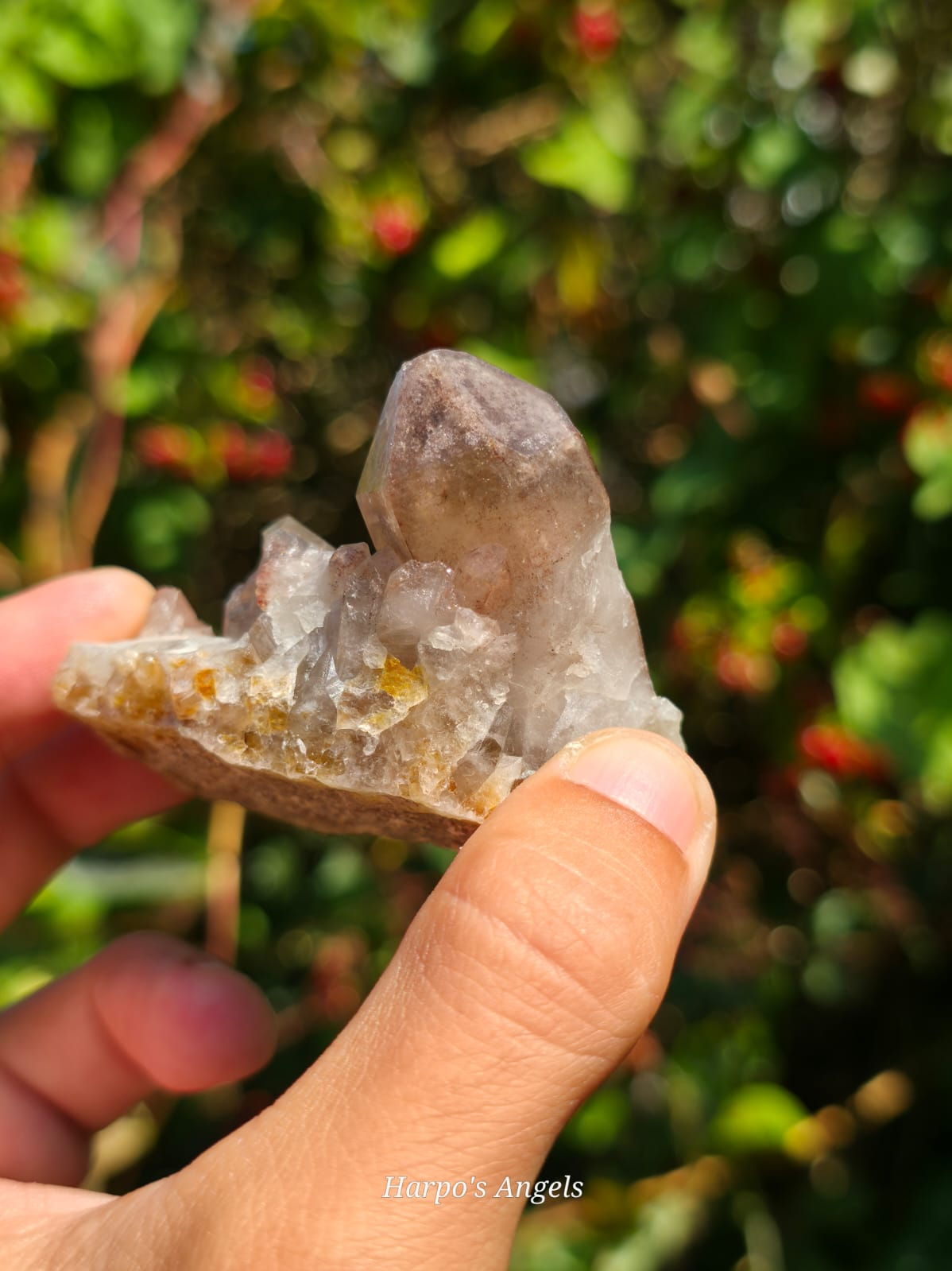Smoky Hematoid Quartz Cluster