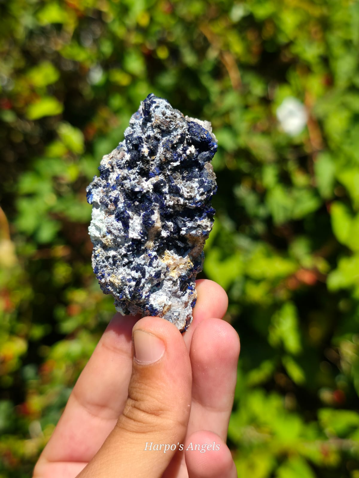 Azurite & Calcite Crystal Specimens (Utah)