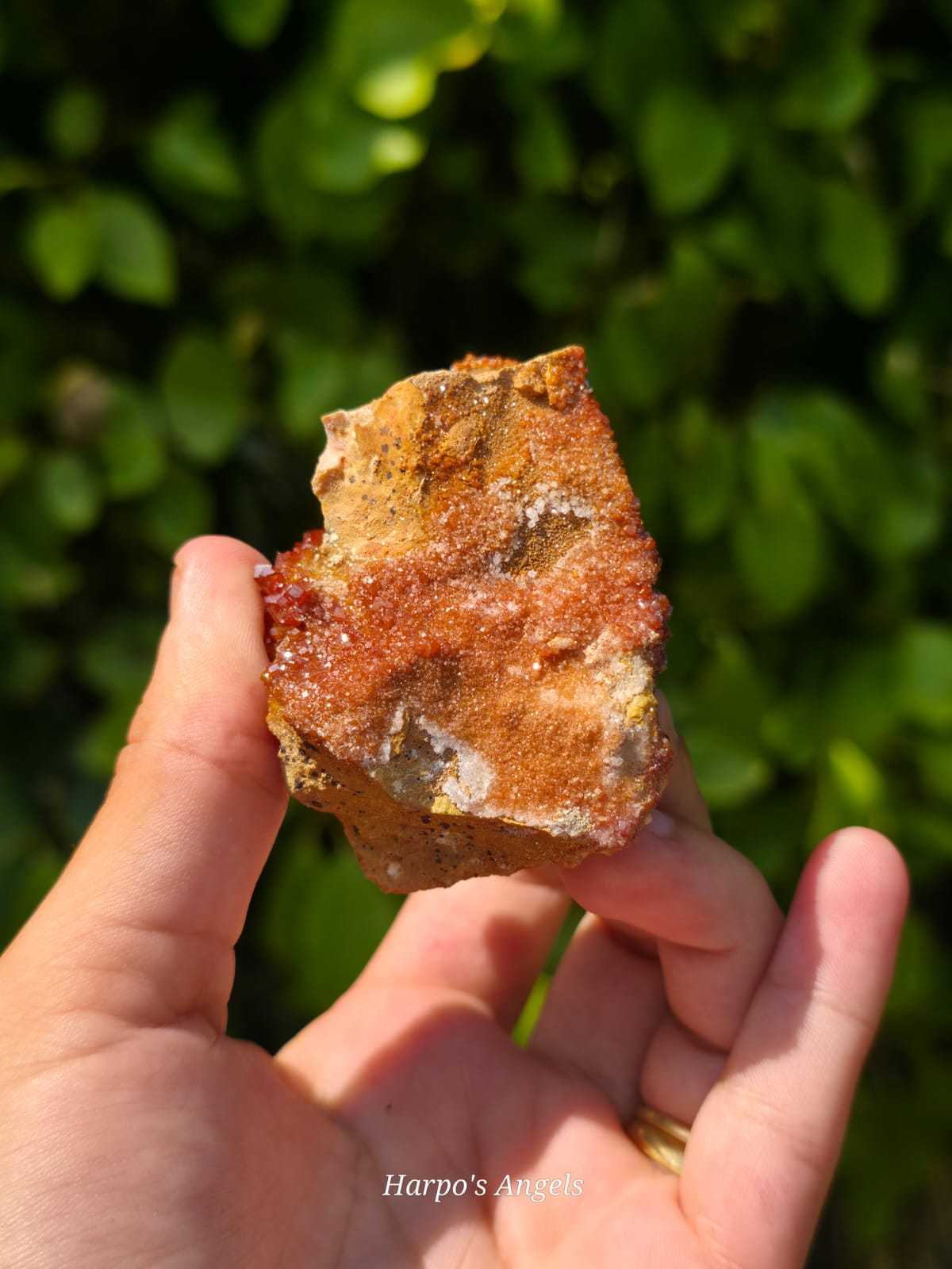Vanadinite Crystal Cluster