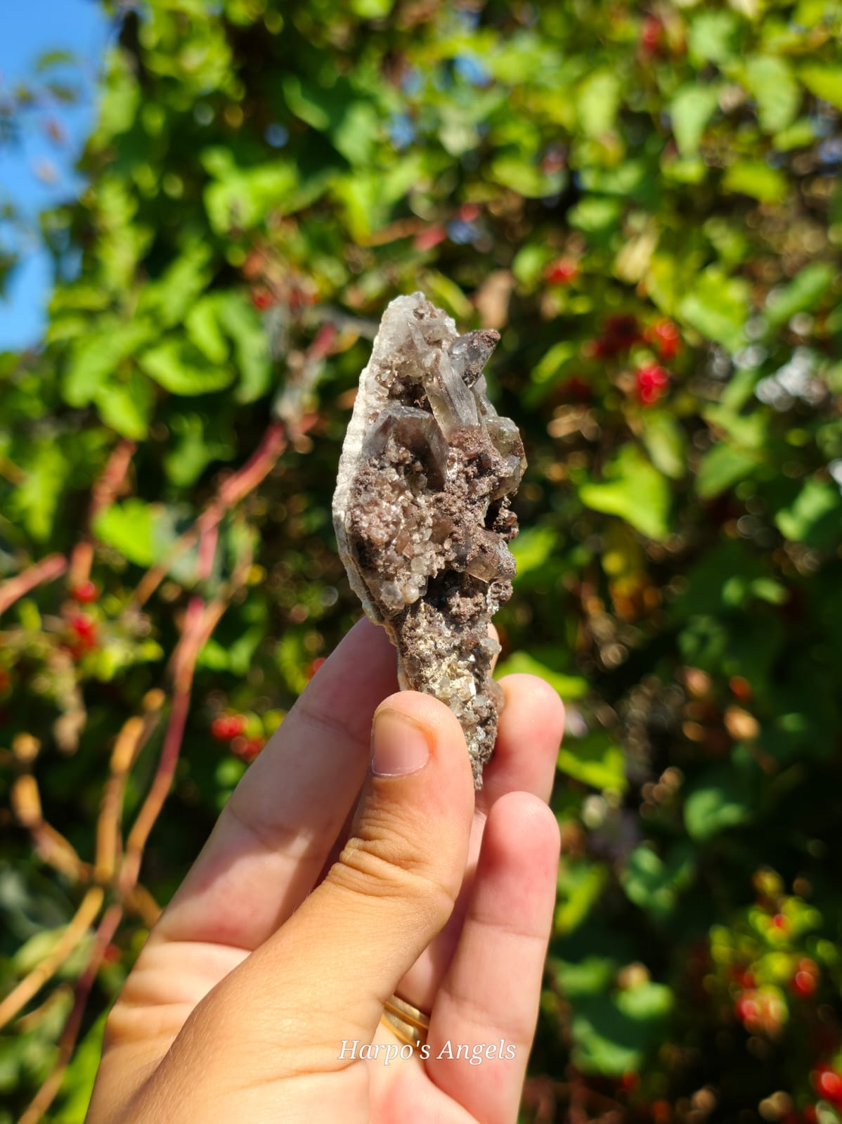 Smoky Quartz Cluster