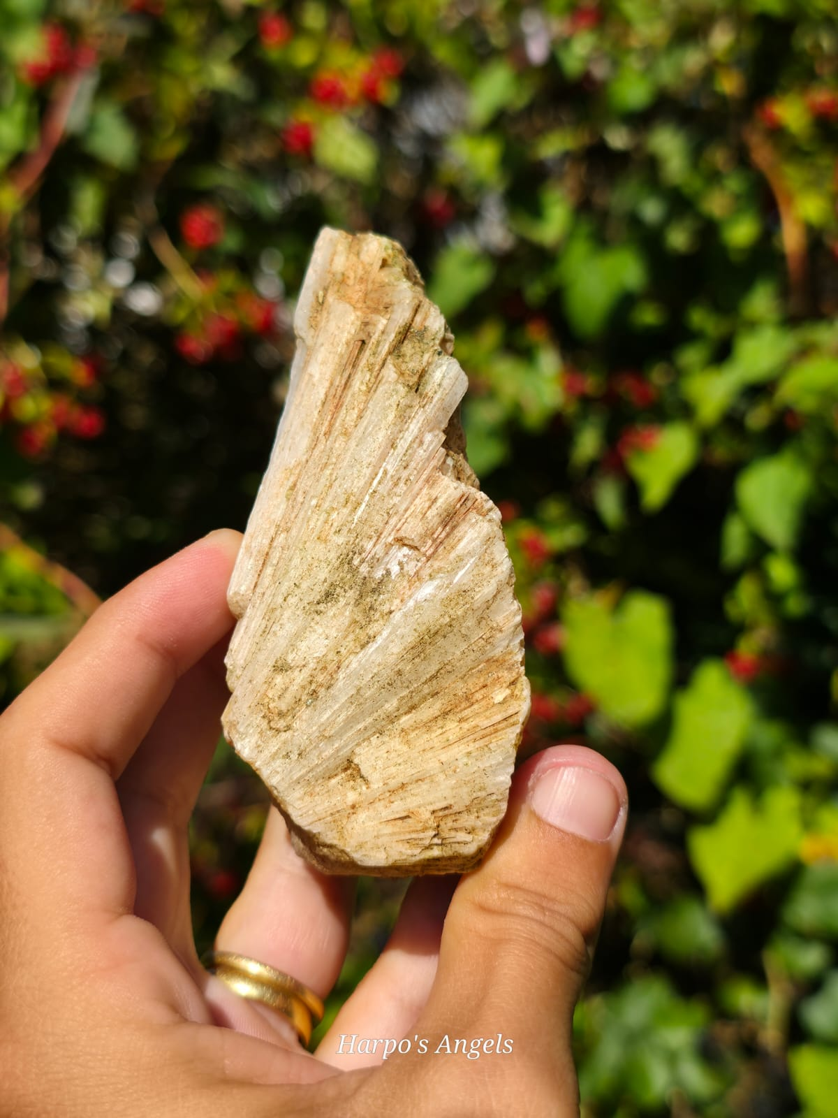 Scolecite from India - (Ex Collection)