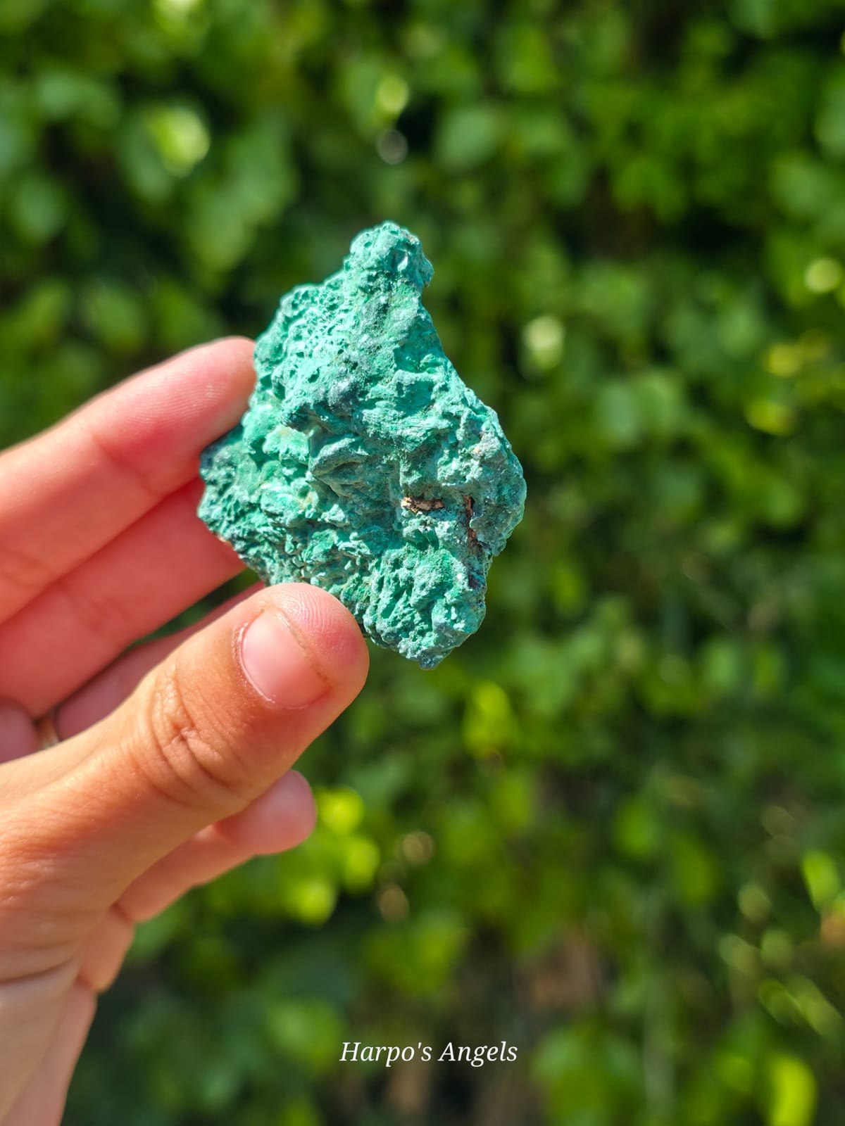 Velvet Malachite Specimen - Ex Collection