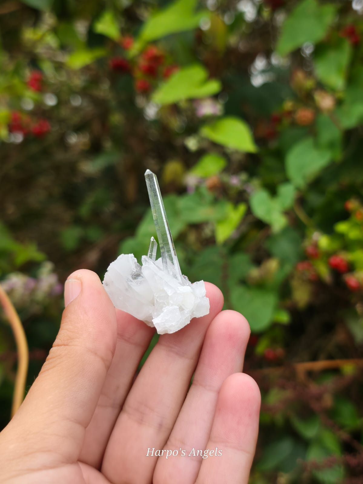 Needle Quartz Crystal Specimen Yunnan, China