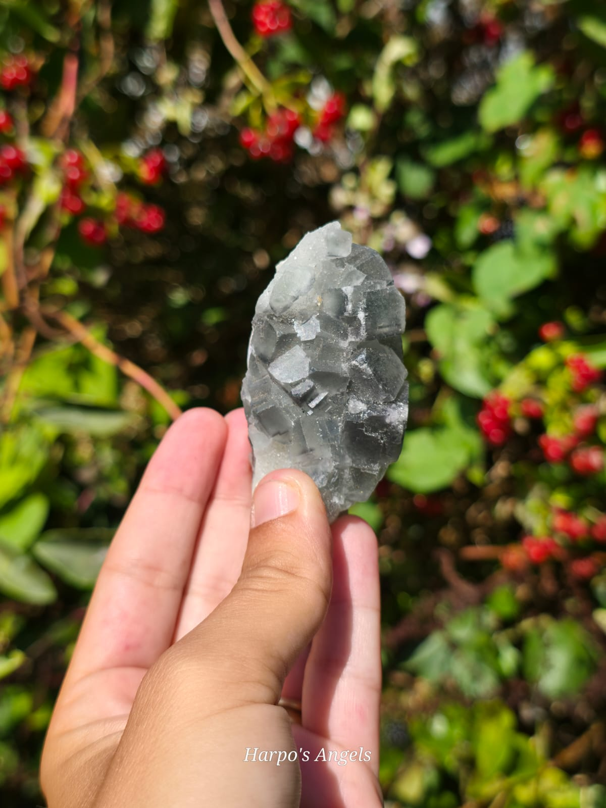 Grey Fluorite Crystal Cluster  - (Ex Collection)