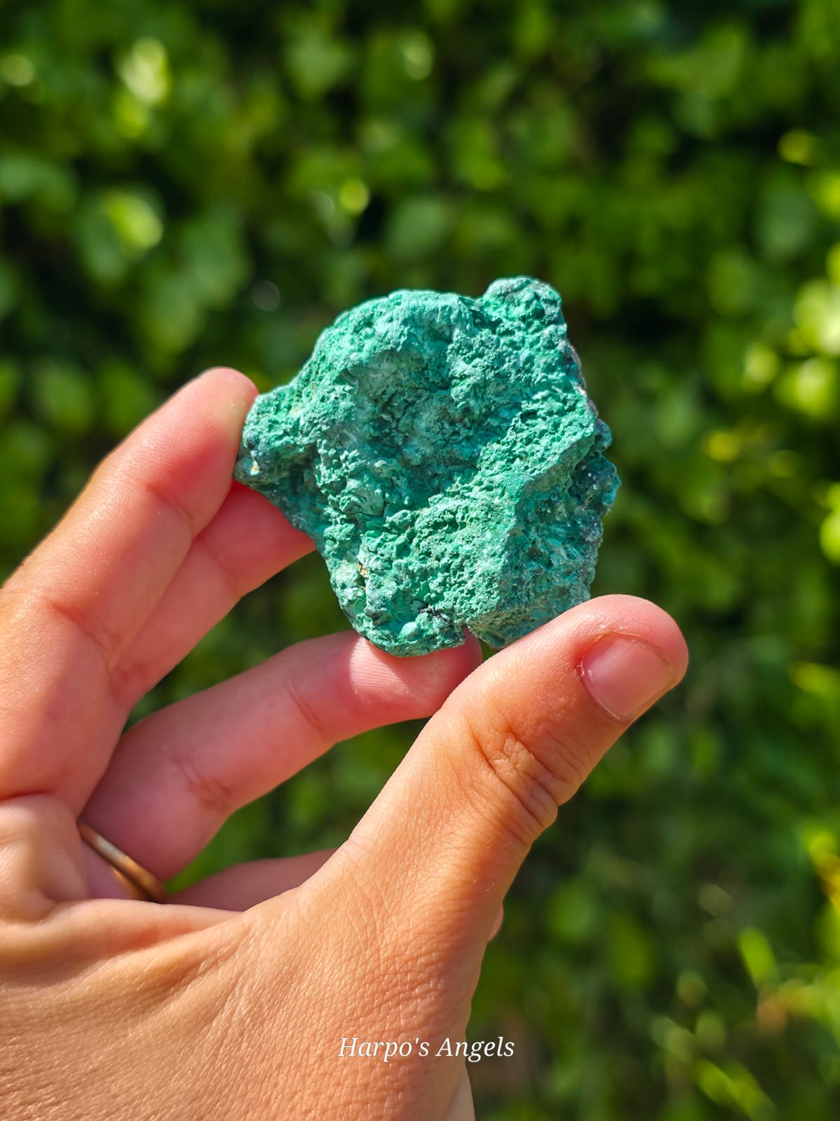 Velvet Malachite Specimen - Ex Collection