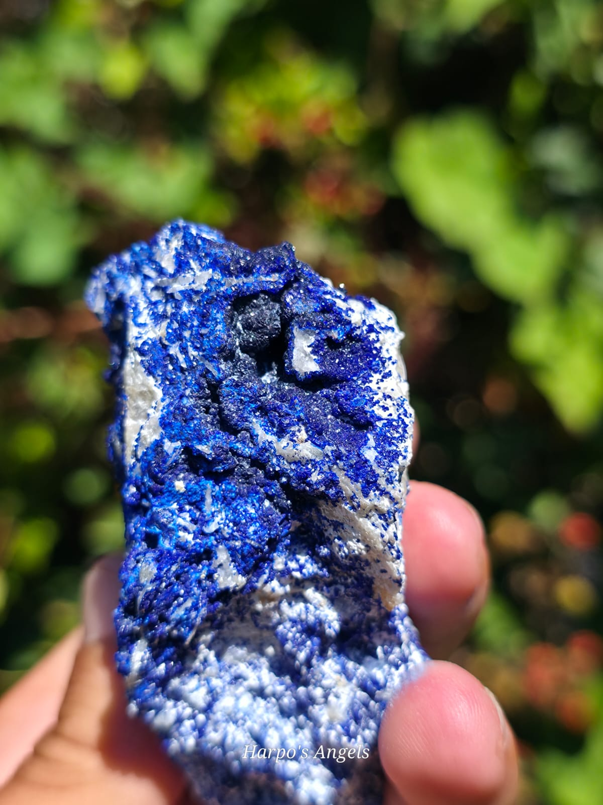 Azurite & Calcite Crystal Specimens (Utah)