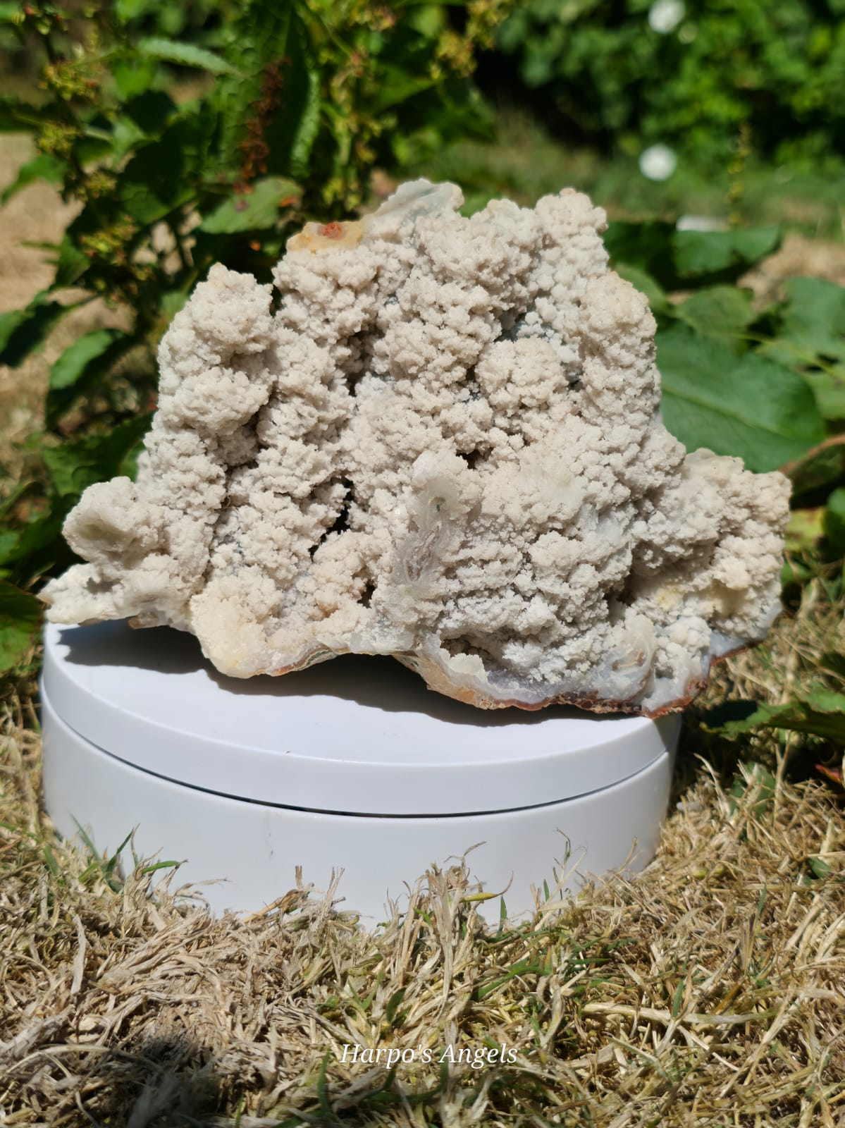 Botryoidal Aragonite Display Specimen (ex collection)