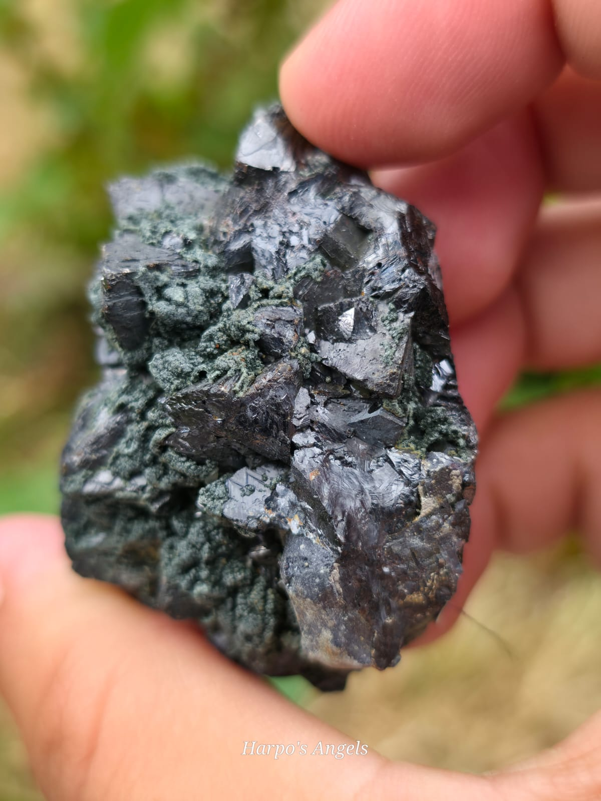 Shungite with Chlorite Cluster Bulgaria