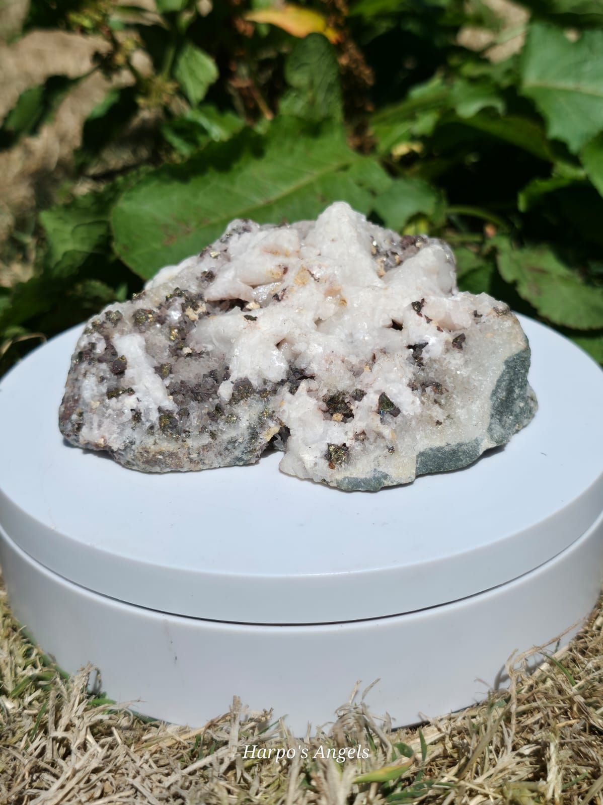 Calcopyrite with Hematite Cluster