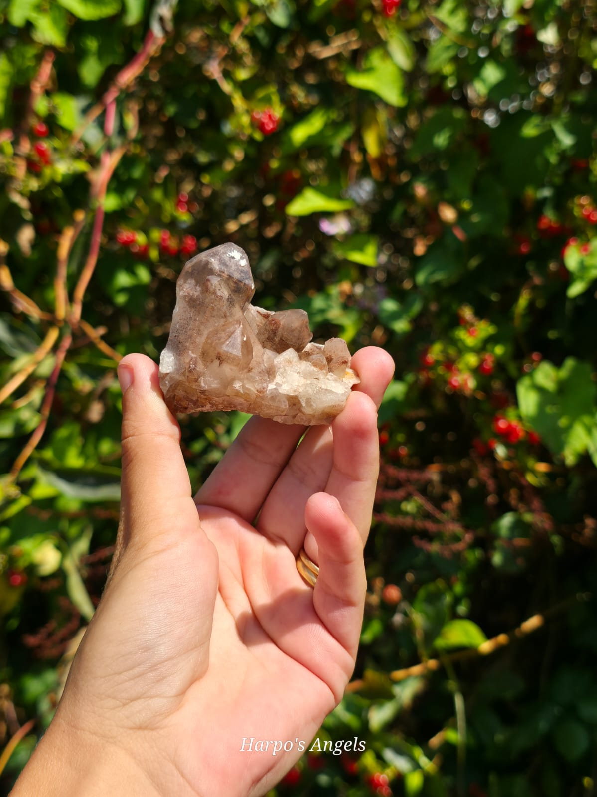 Smoky Hematoid Quartz Cluster