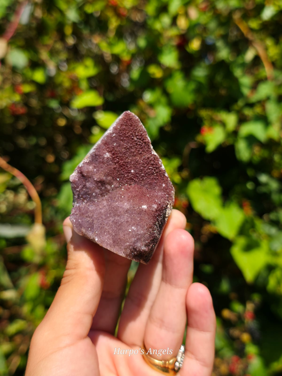Alacam Amethyst Druzy Specimens